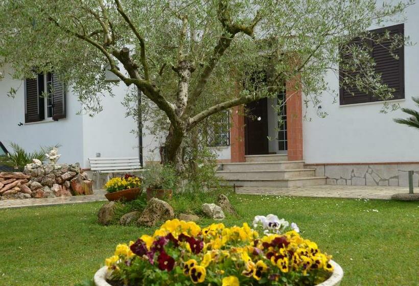 Пансион Il Grifo