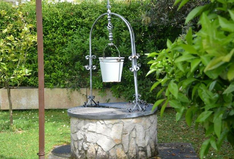 ペンション Il Grifo