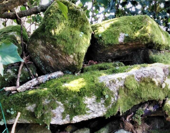 פנסיון La Carri Air