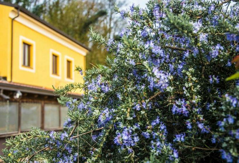 بنسيون Affittacamere Dell Autista