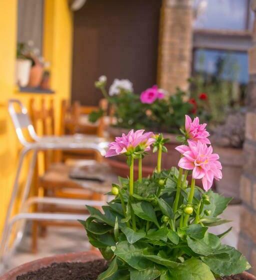 بنسيون Affittacamere Dell Autista