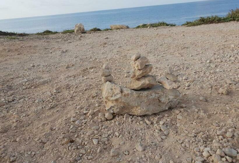 פנסיון Paste&cannola