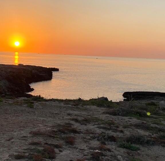 پانسیون Paste&cannola