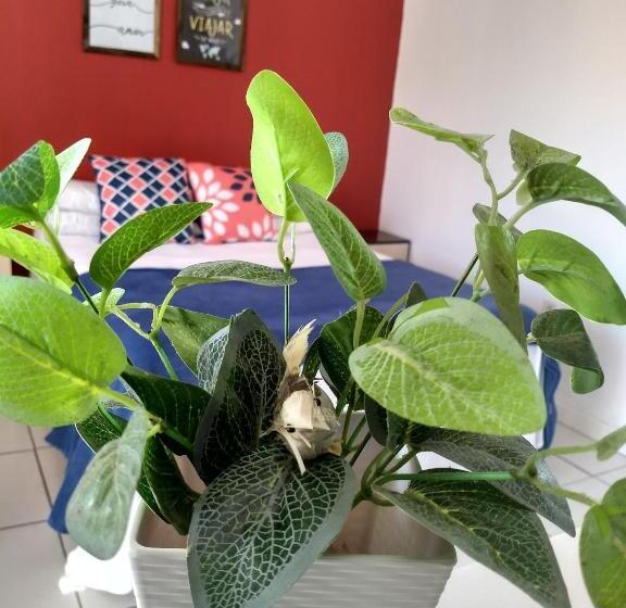 بنسيون Pousada No Farol