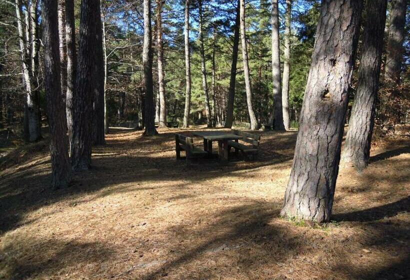 פנסיון Residence Selva Dei Pini