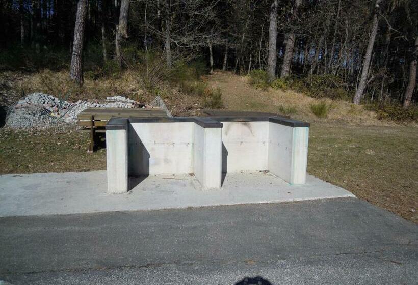 פנסיון Residence Selva Dei Pini