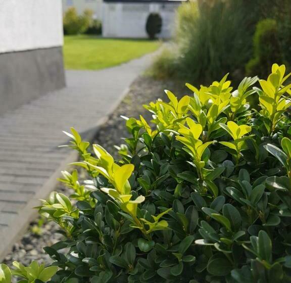 Pension Harleshausen