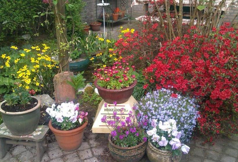 B&b Aan Het Park Eindhoven