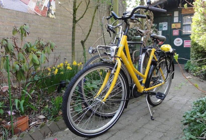 B&b Aan Het Park Eindhoven