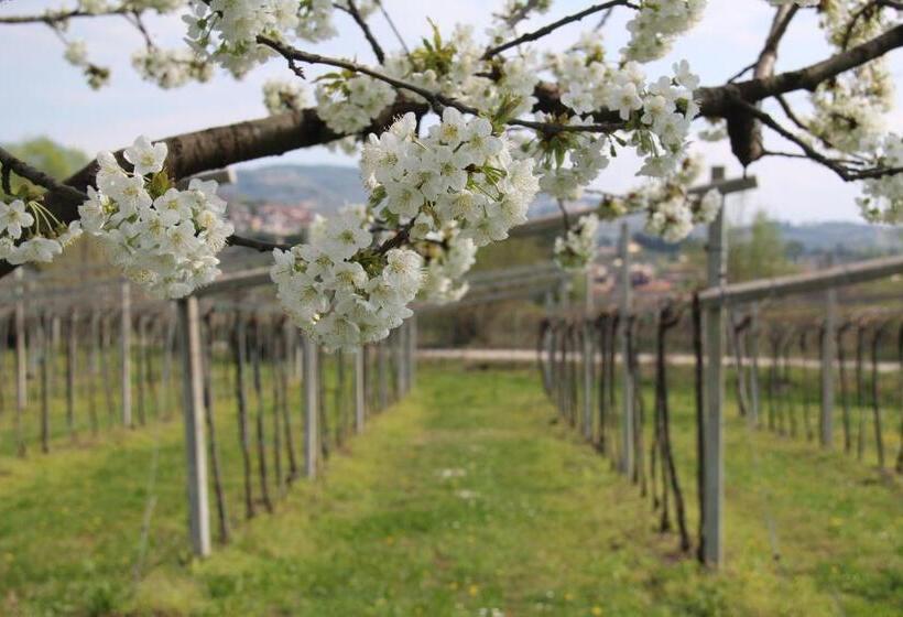 B&b Campagnon Valpolicella