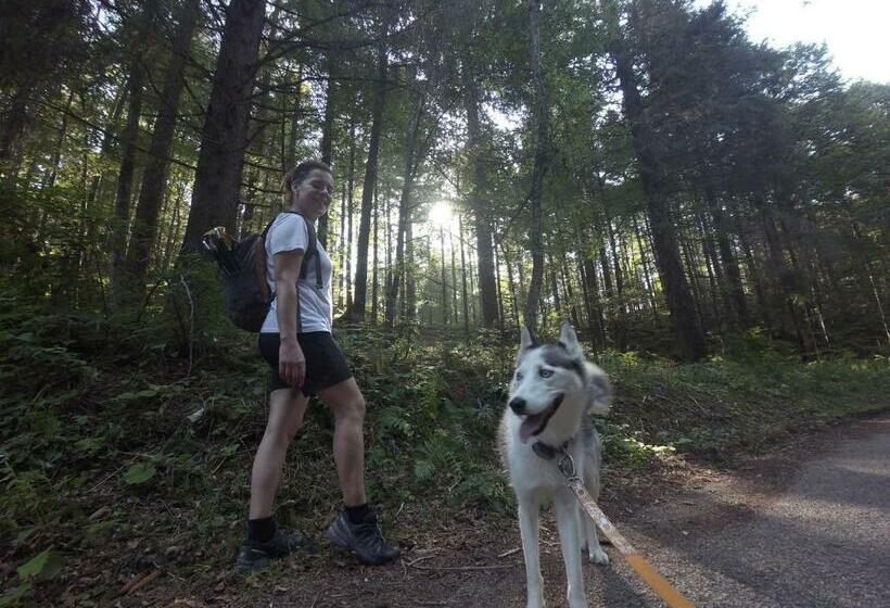 B&b Casa Mia   Camere In Appartamento Privato