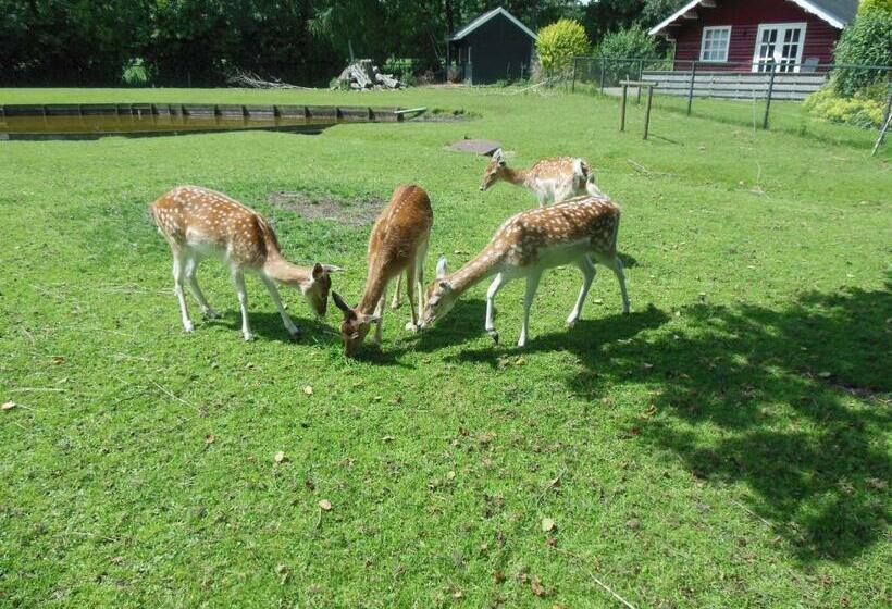 B&b Landgoed Sonneborghe