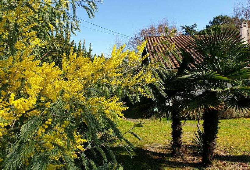 B&b Mob Mimizan On The Beach