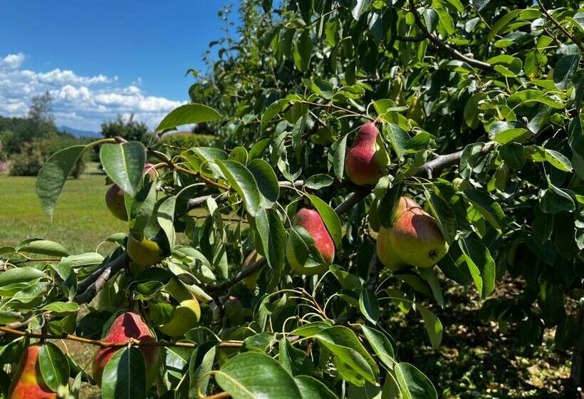 مبيت وإفطار A Cjase Di Sandra