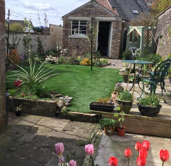 مبيت وإفطار Alpine Cottage