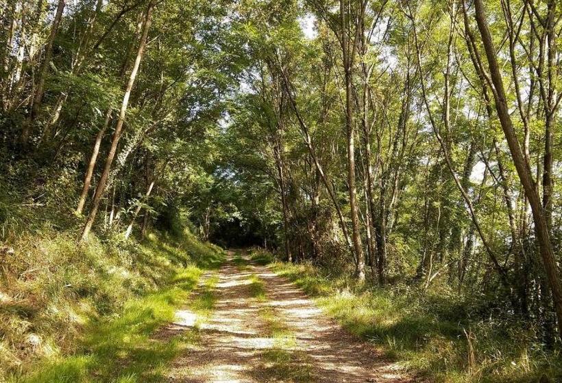 مبيت وإفطار Casa Rural Etxaluze