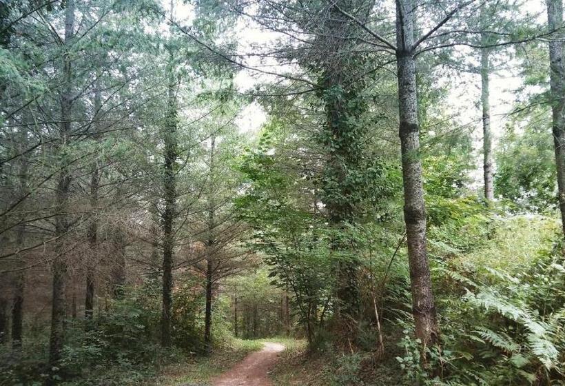 مبيت وإفطار Casa Rural Etxaluze