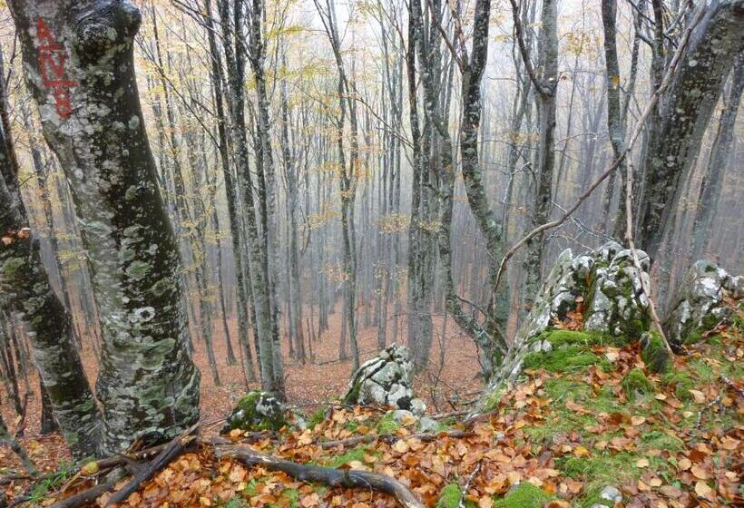 مبيت وإفطار Casa Rural Etxaluze