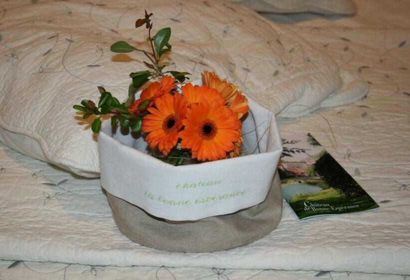 مبيت وإفطار Château De Bonne Espérance