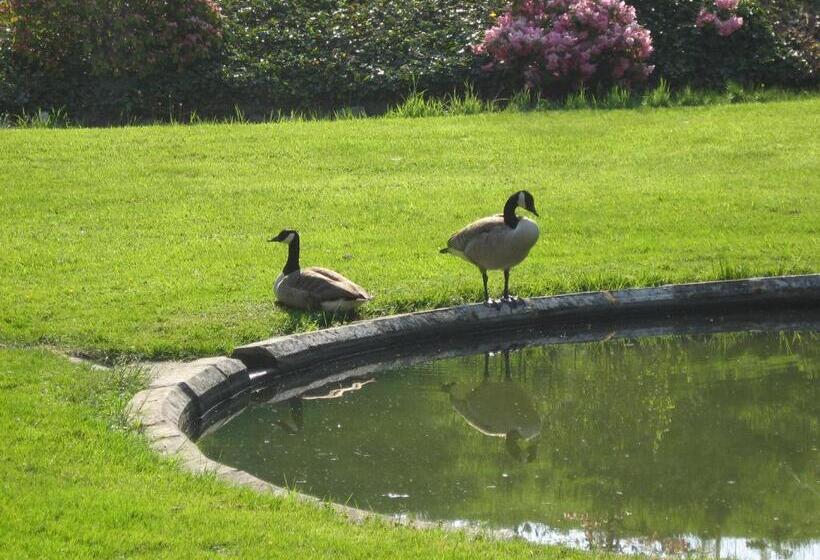 مبيت وإفطار Château De Bonne Espérance