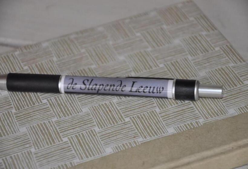 تختخواب و صبحانه De Slapende Leeuw