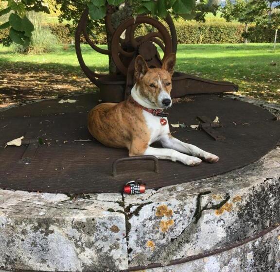 민박 Domaine De Saint Loth