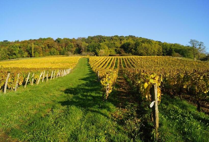 צימר Domaine De Saint Loth