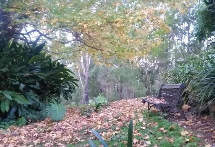 צימר Forest View Bungalow