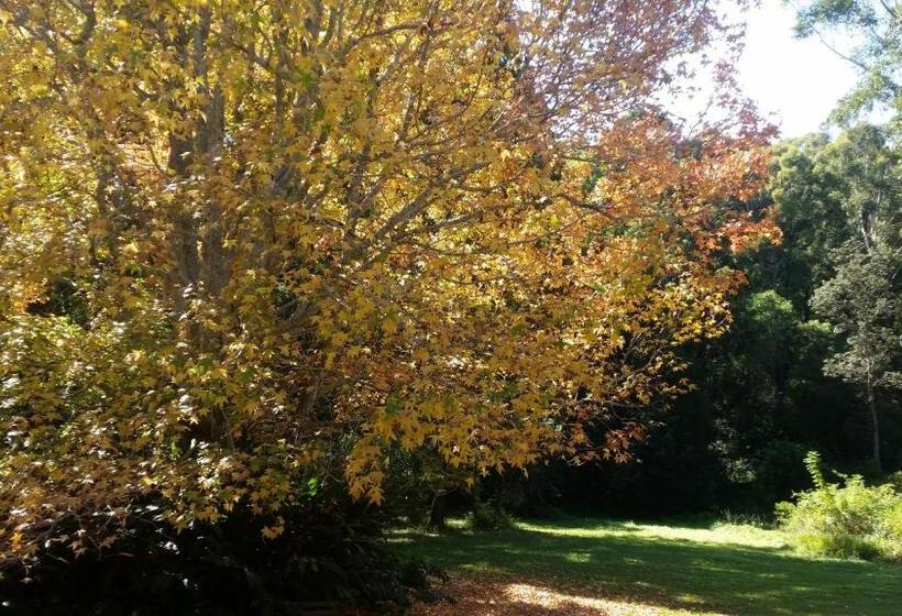 צימר Forest View Bungalow