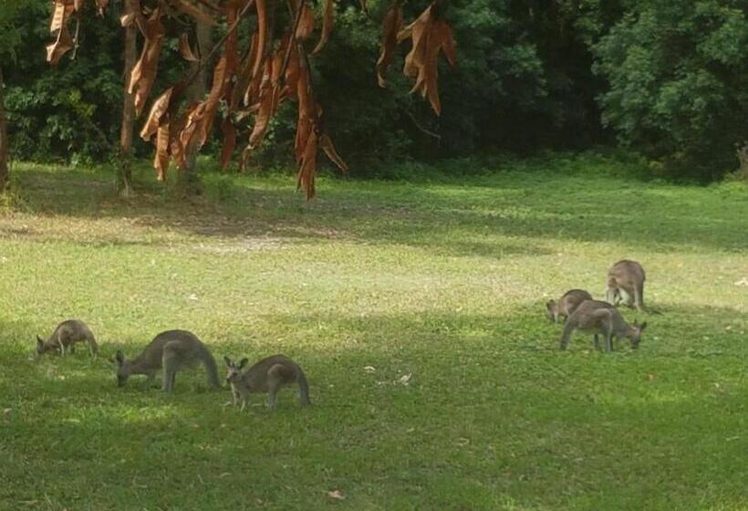 צימר Forest View Bungalow