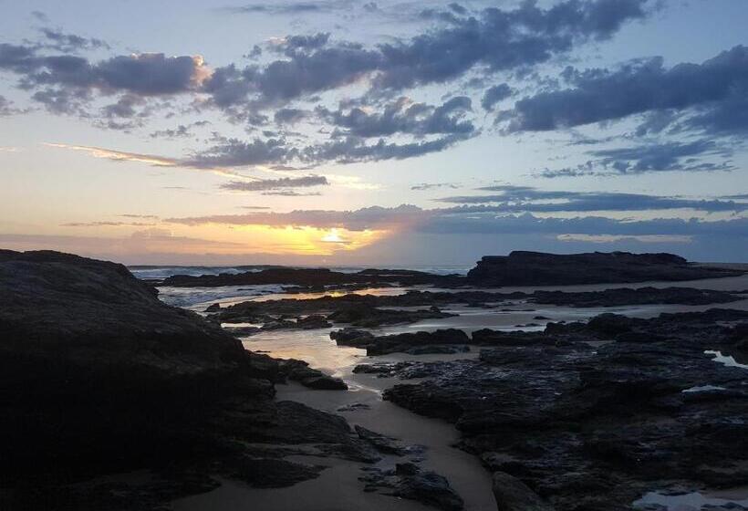 צימר Forest View Bungalow