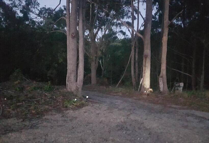 צימר Forest View Bungalow