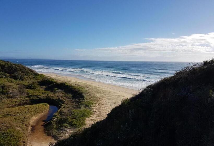 צימר Forest View Bungalow