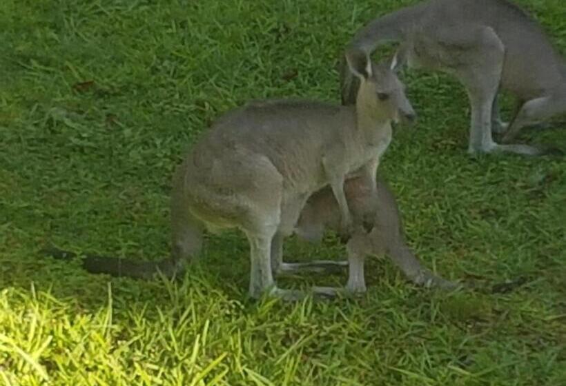 צימר Forest View Bungalow