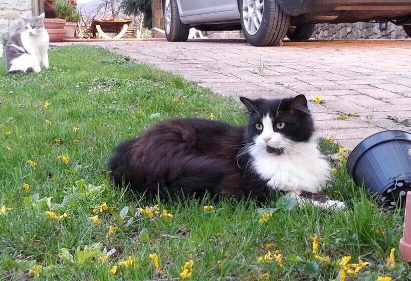 צימר Il Casolare Bioenergetico