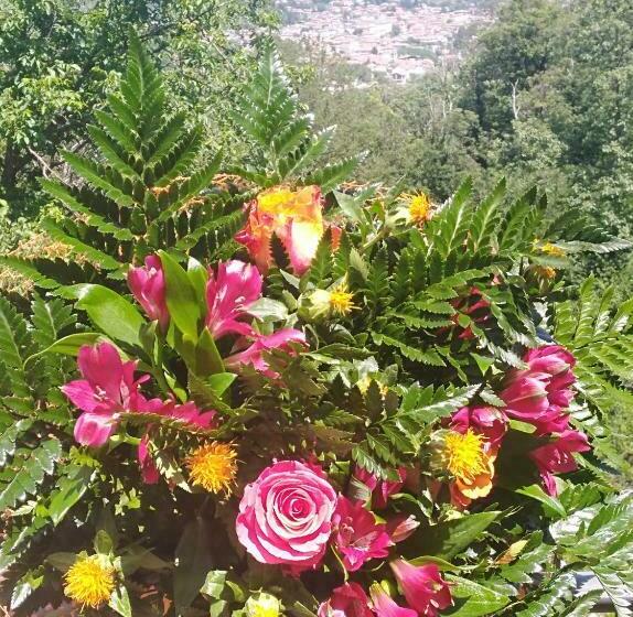 Bed And Breakfast Isabella