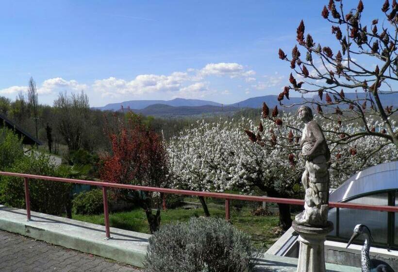 ベッドアンドブレックファースト Le Belvue