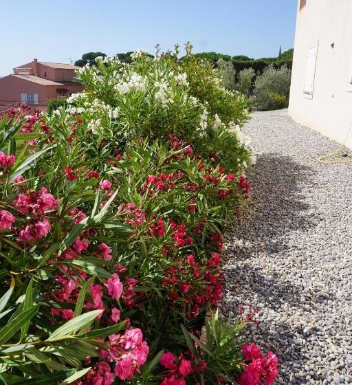 Bed and Breakfast Lone Star House