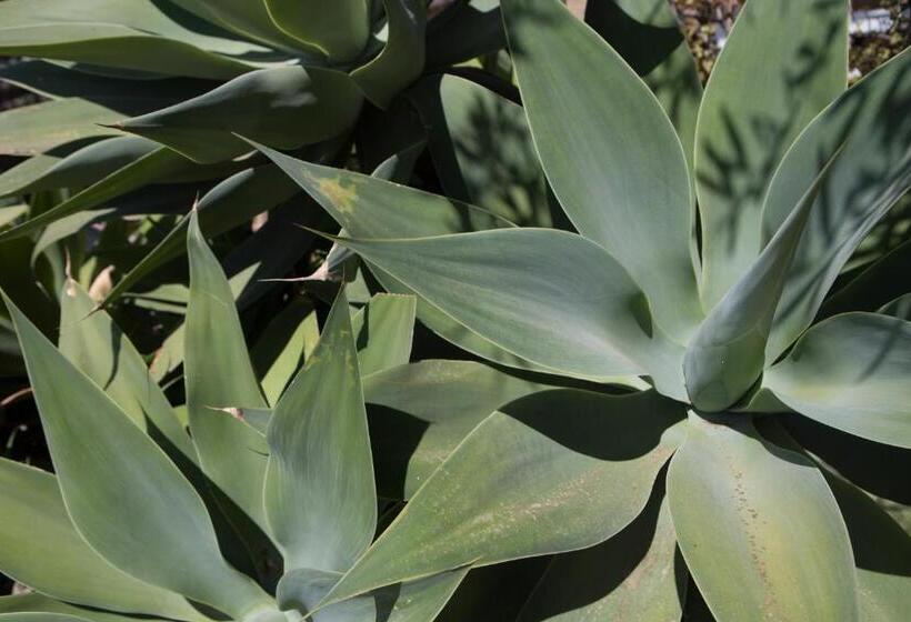 مبيت وإفطار Residenza Terrazze Sul Mare