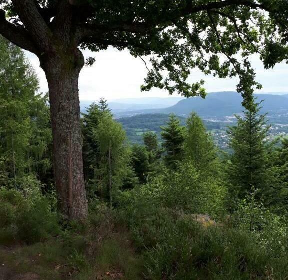 민박 Serendipity Bed&breakfast