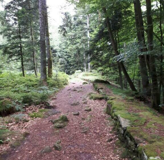 민박 Serendipity Bed&breakfast