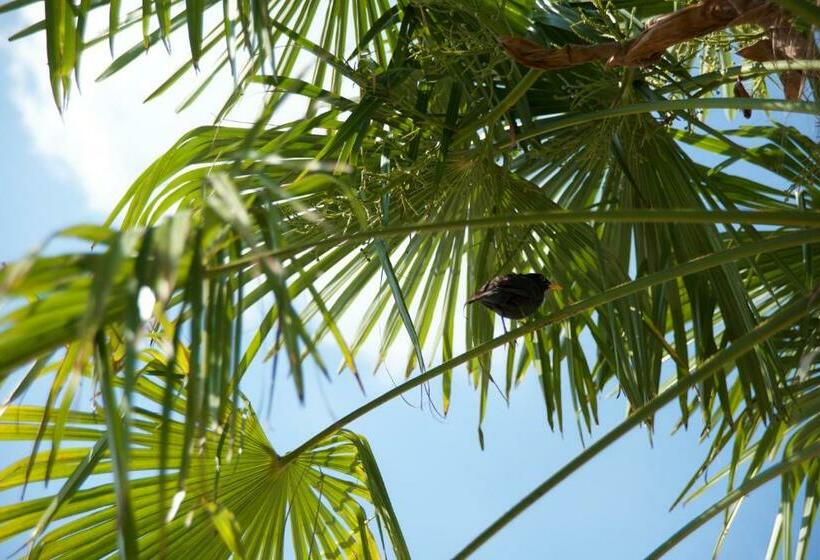 בית מלון כפרי Agriturismo Albarello