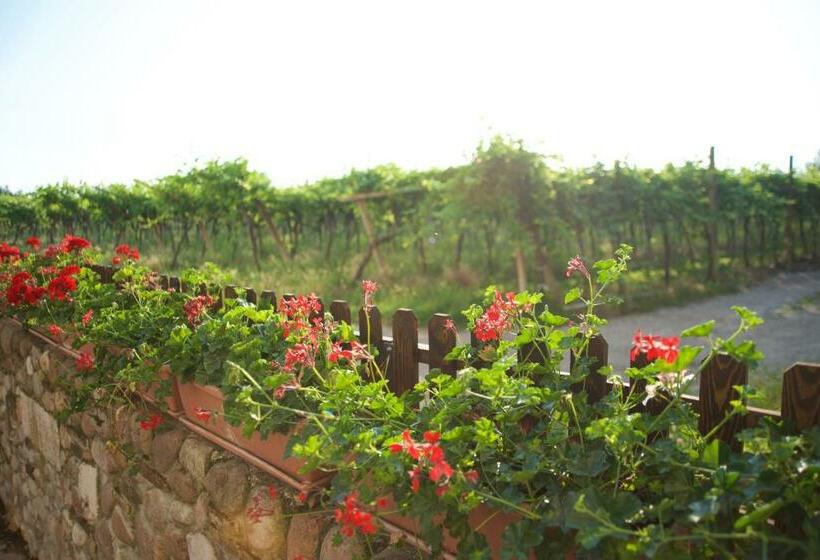 בית מלון כפרי Agriturismo Albarello
