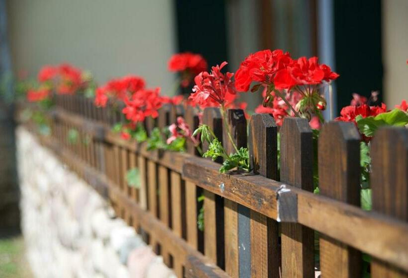 בית מלון כפרי Agriturismo Albarello