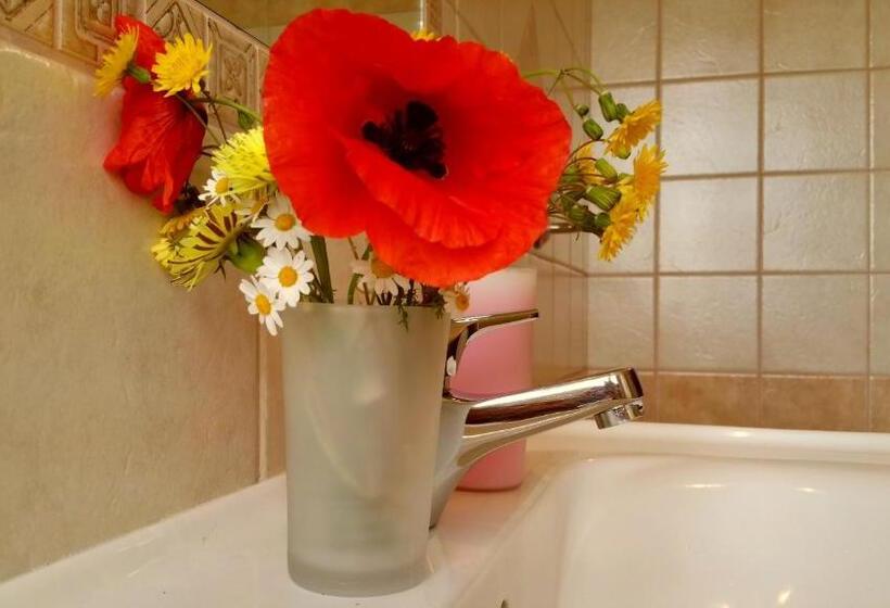 בית מלון כפרי Agriturismo Chiai Francesco