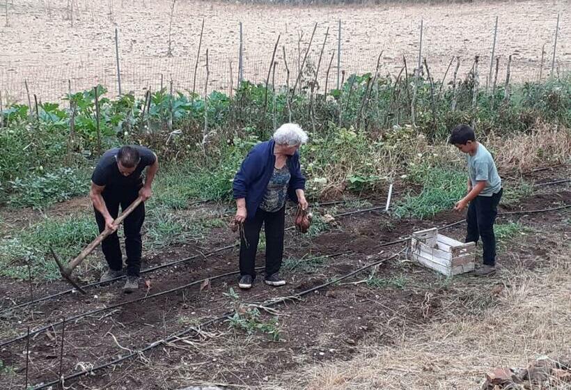 호텔 Agriturismo S Armidda