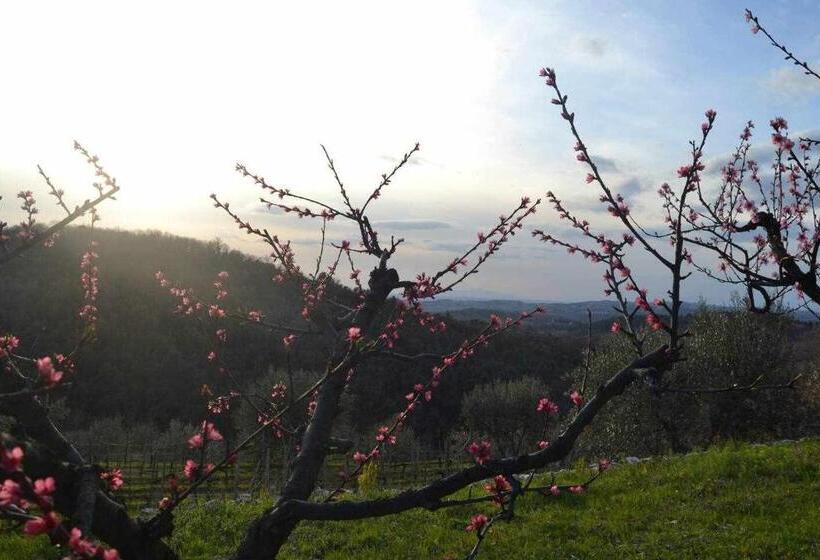 בית מלון כפרי Agriturismo San Silvestro