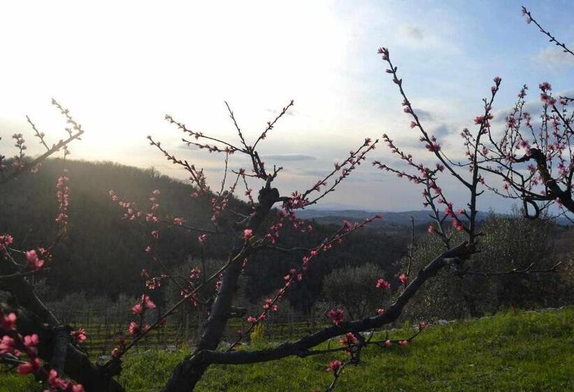 בית מלון כפרי Agriturismo San Silvestro