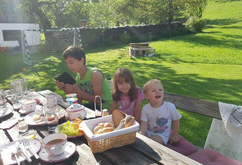 בית מלון כפרי Biobauernhof Schöttelbauer