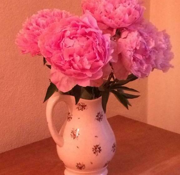 호텔 Higher Carthew Farm